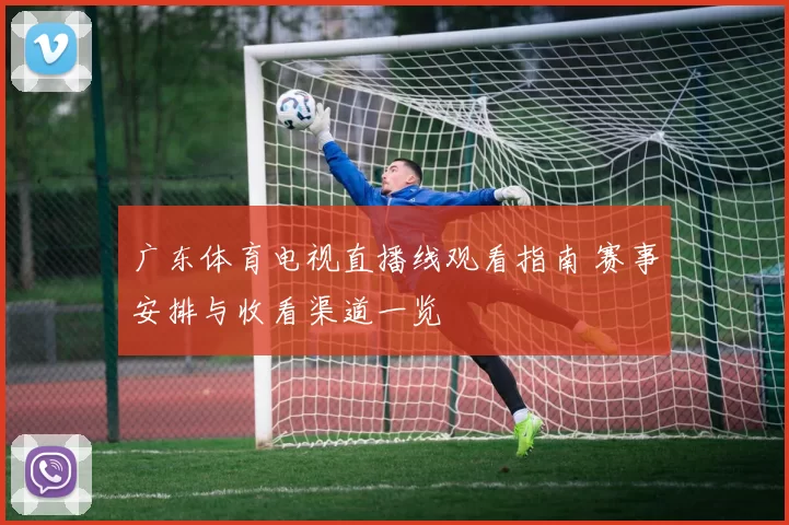 广东体育电视直播线观看指南 赛事安排与收看渠道一览