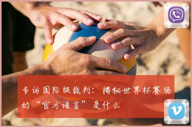专访国际级裁判：揭秘世界杯赛场的“官方语言”是什么