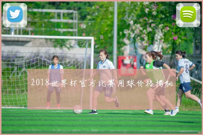 2018世界杯官方比赛用球价格揭秘